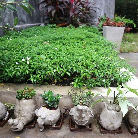 Maya Bed And Food Hostel Chiang Mai Exterior photo